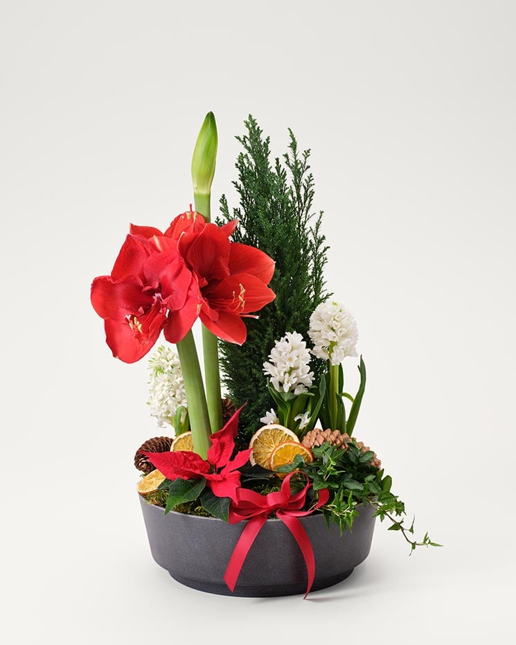 Julgrupp klassisk jul, stor från Interflora