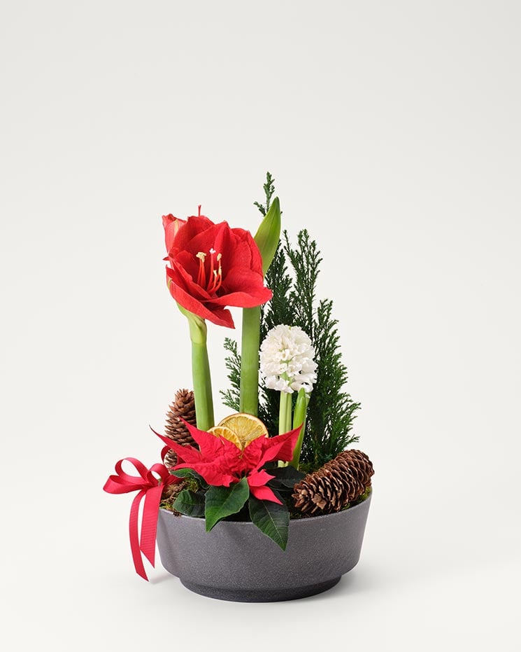 Julgrupp klassisk jul, mellan från Interflora